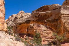 2022-05-Capitol-Reef-293-Pano