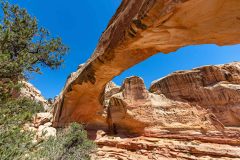 2022-05-Capitol-Reef-300