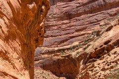 2022-05-Capitol-Reef-321