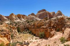 2022-05-Capitol-Reef-335