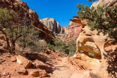 2022-05-Capitol-Reef-365