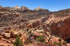 2022-05-Capitol-Reef-424