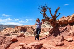 2022-05-Capitol-Reef-425