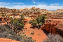 2022-05-Capitol-Reef-455