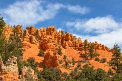 2022-05-Bryce-Canyon-NP-194