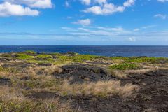 2022-03-Big-Island-Volcanos-NP-351