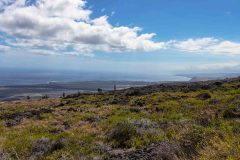 2022-03-Big-Island-Volcanos-NP-364