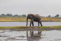 2023-10-Chobe-5-038