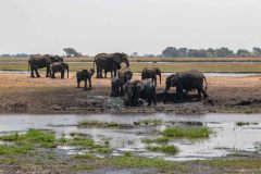 2023-10-Chobe-5-127