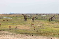 2023-10-Chobe-1-059