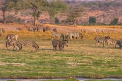 2023-10-Chobe-Namibia-400