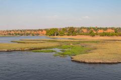 2023-10-Chobe-4-138