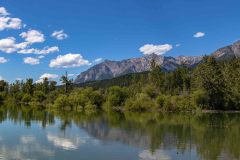 2022-07-Columbia-River-Wetlands-11