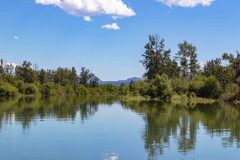 2022-07-Columbia-River-Wetlands-16