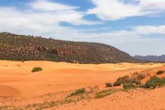 2022-05-Coral-Pink-Sand-Dunes-SP-12