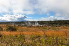 2022-03-Big-Island-Volcanos-NP-141