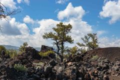 2022-06-Craters-of-the-Moon-NM-03