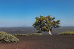 2022-06-Craters-of-the-Moon-NM-26