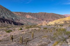 2023-06-Quebrada-de-Humahuaca-214