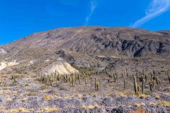 2023-06-Quebrada-de-Humahuaca-215