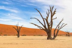 2023-08-Sossusvlei-045