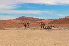 2023-08-Sossusvlei-049