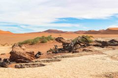 2023-08-Sossusvlei-064