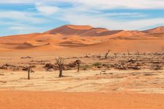 2023-08-Sossusvlei-083