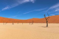 2023-08-Sossusvlei-303-Pano