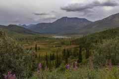 2022-08-Dempster-Highway-020