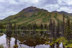 2022-08-Dempster-Highway-494-Pano