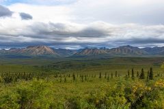 2022-08-Denali-431