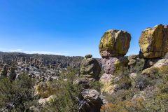 2022-04-Chiricahua-NM-057