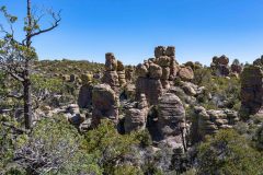 2022-04-Chiricahua-NM-064