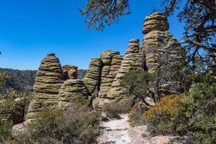 2022-04-Chiricahua-NM-065