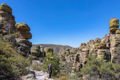 2022-04-Chiricahua-NM-083