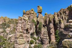 2022-04-Chiricahua-NM-087