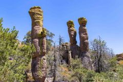 2022-04-Chiricahua-NM-153