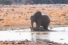 2023-09-Etosha-5-026