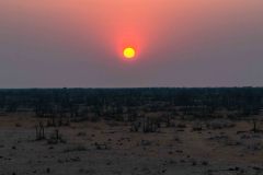 2023-09-Etosha-1-184