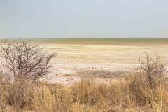 2023-09-Etosha-4-094