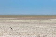 2023-09-Etosha-4-096