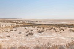 2023-09-Etosha-7-381