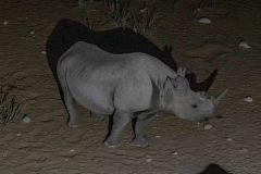 2023-09-Etosha-2-507