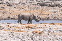 2023-09-Etosha-7-410