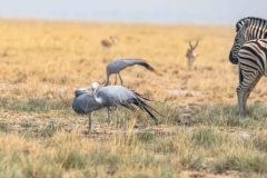 2023-09-Etosha-4-199