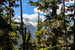 2022-07-Glacier-NP-of-Canada-099