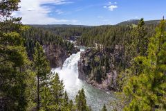 2022-06-Yellowstone-316