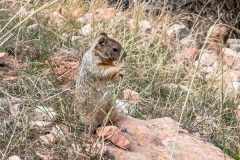 2022-10-Grand-Canyon-South-Rim-050