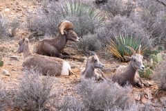 2022-10-Grand-Canyon-South-Rim-056